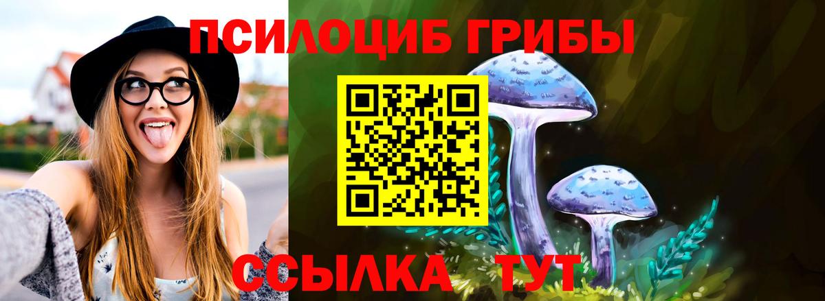 Псилоцибиновые грибы GOLDEN TEACHER Хабаровск