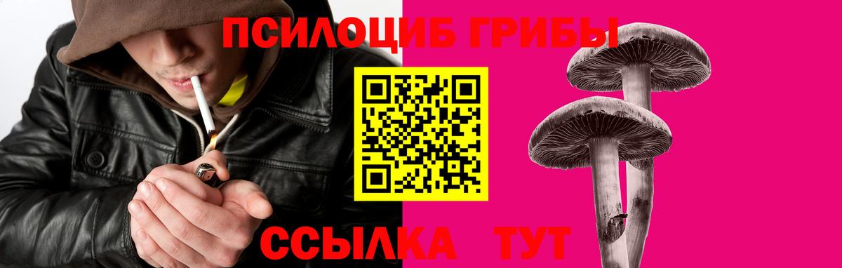 Псилоцибиновые грибы прущие грибы  цены наркотик  Псилоцибиновые грибы мицелий  Хабаровск  Вход с VPN 